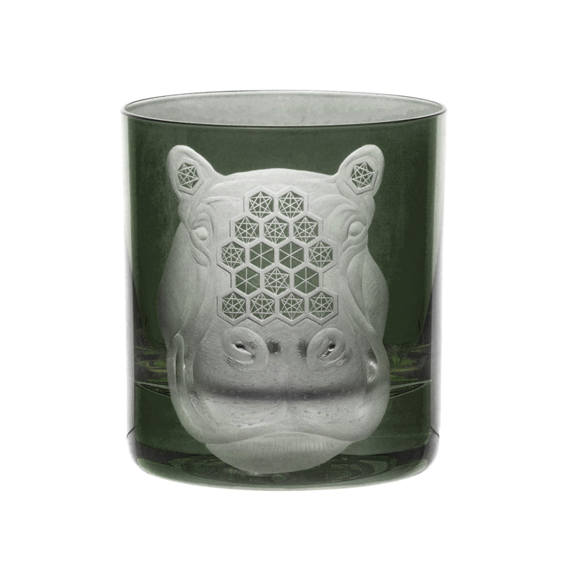 African Safari Hippopotamus