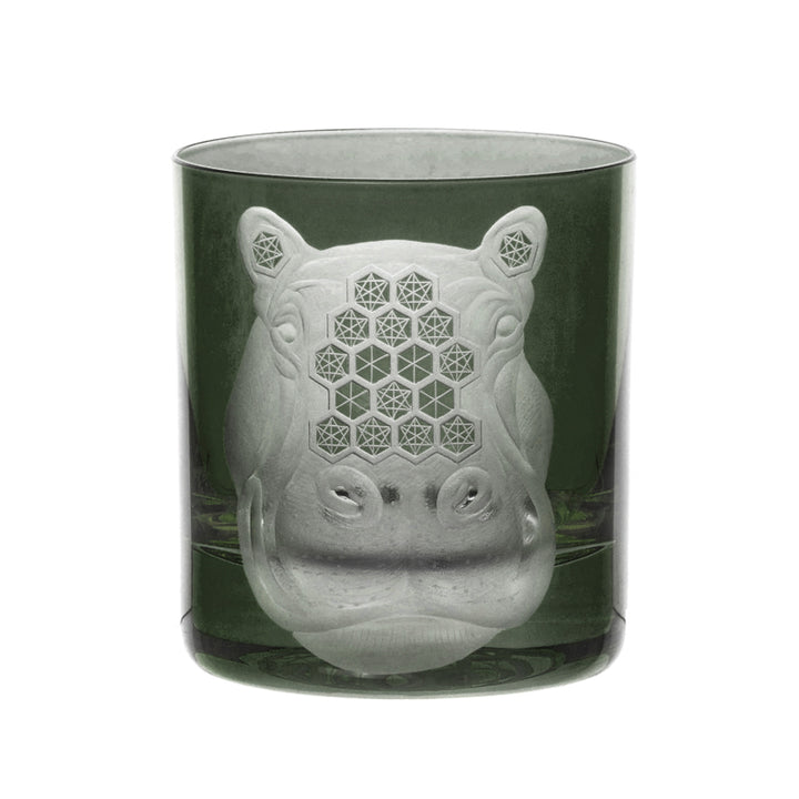 African Safari Hippopotamus