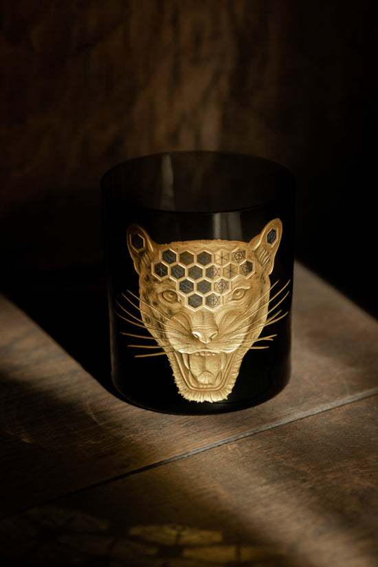 African Safari Jaguar