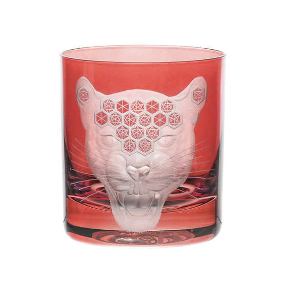 African Safari Jaguar