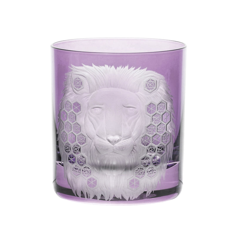 African Safari Lion