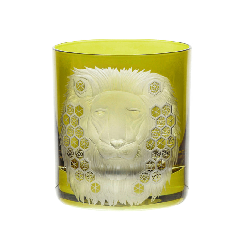 African Safari Lion