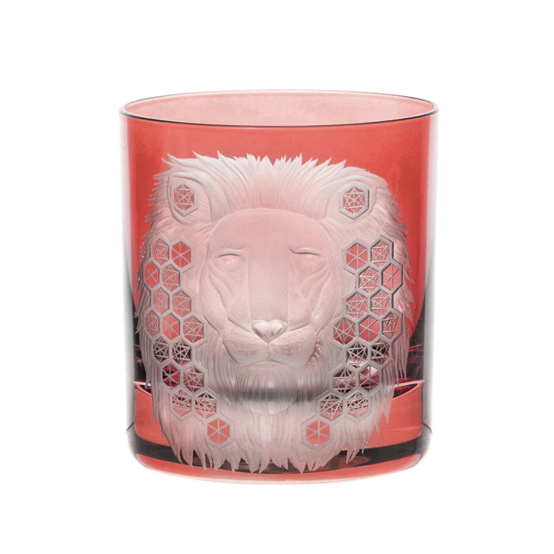 African Safari Lion