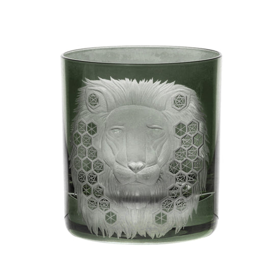 African Safari Lion