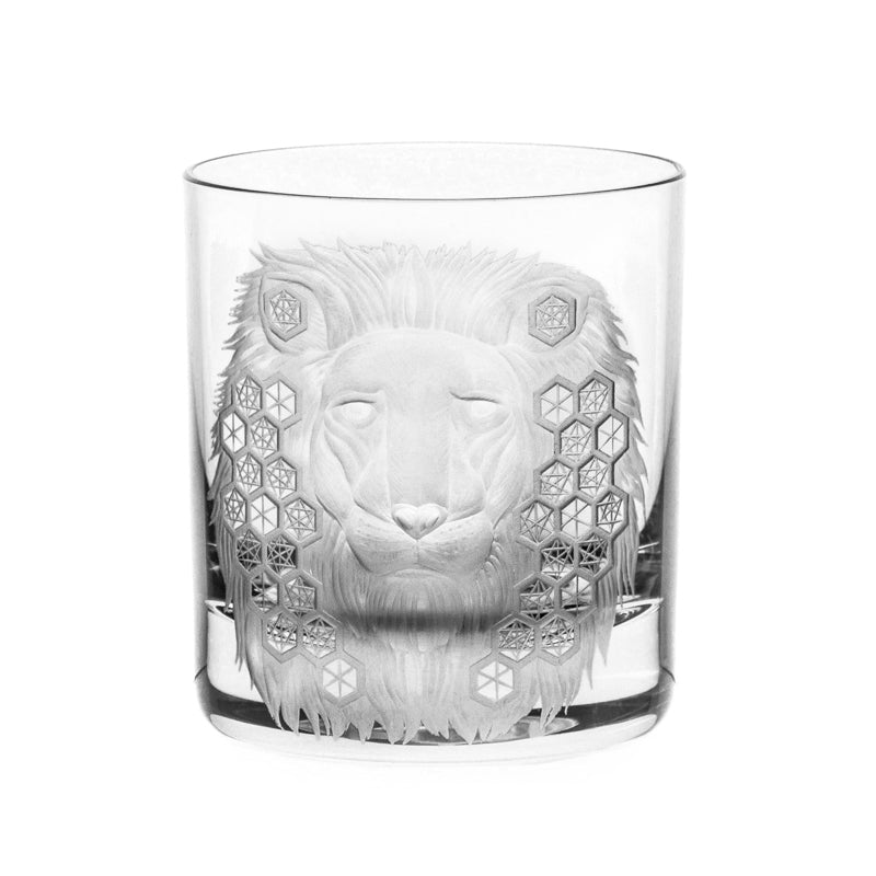 African Safari Lion