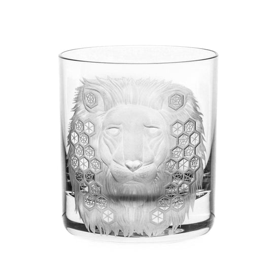 African Safari Lion