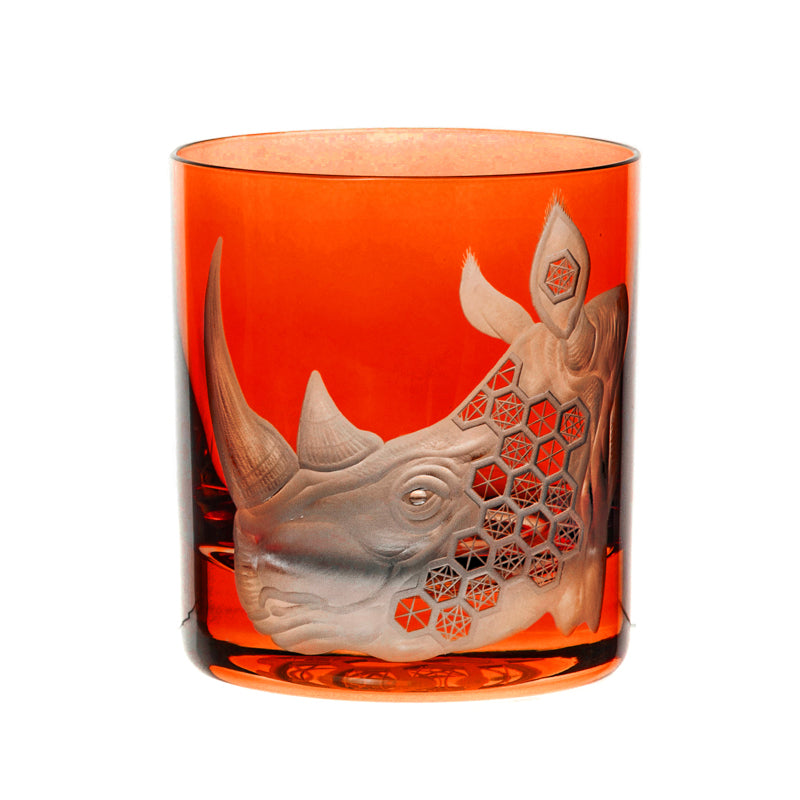 African Safari Rhinoceros