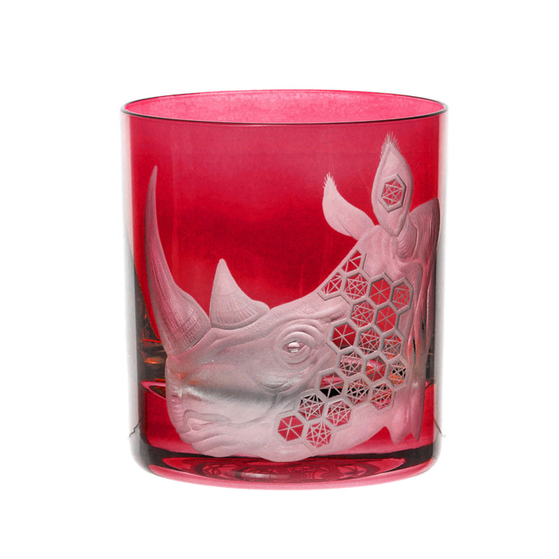 African Safari Rhinoceros