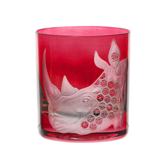 African Safari Rhinoceros