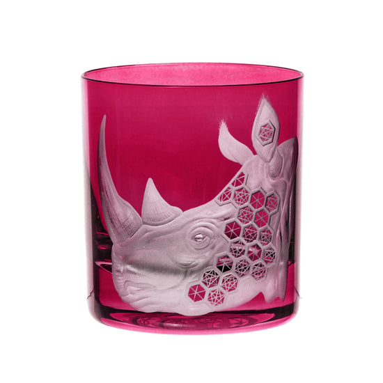 African Safari Rhinoceros