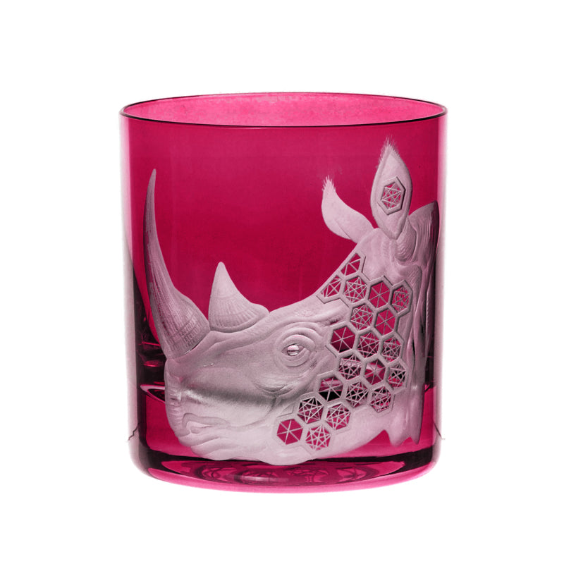 African Safari Rhinoceros