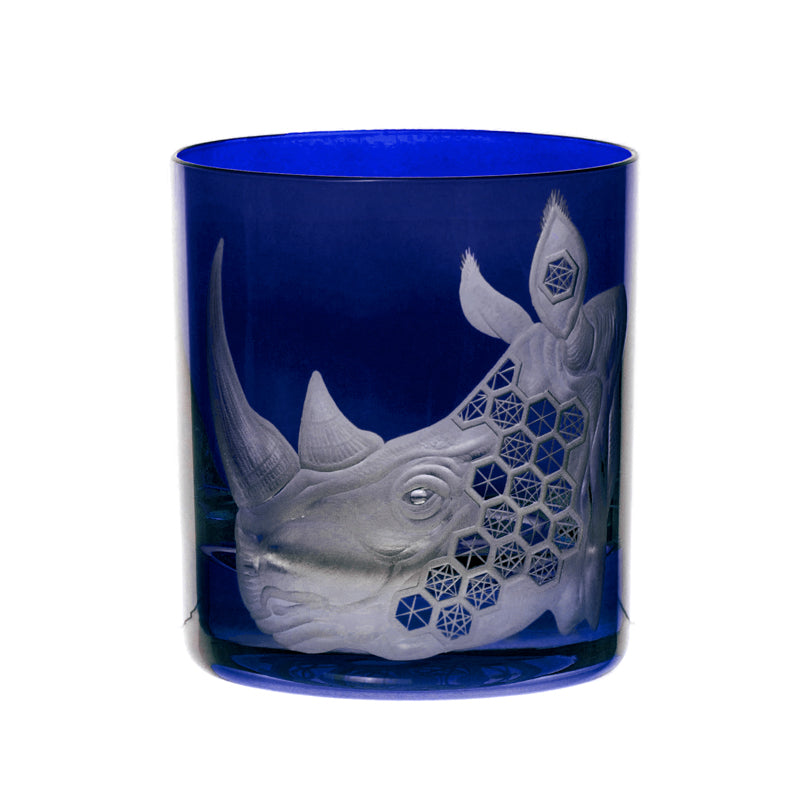 African Safari Rhinoceros