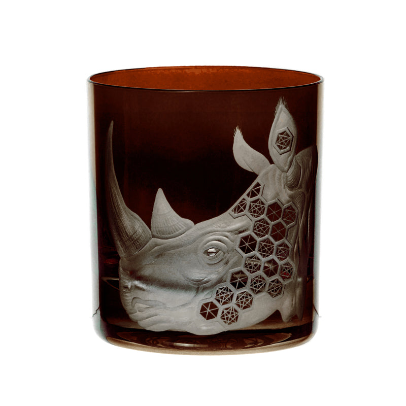 African Safari Rhinoceros