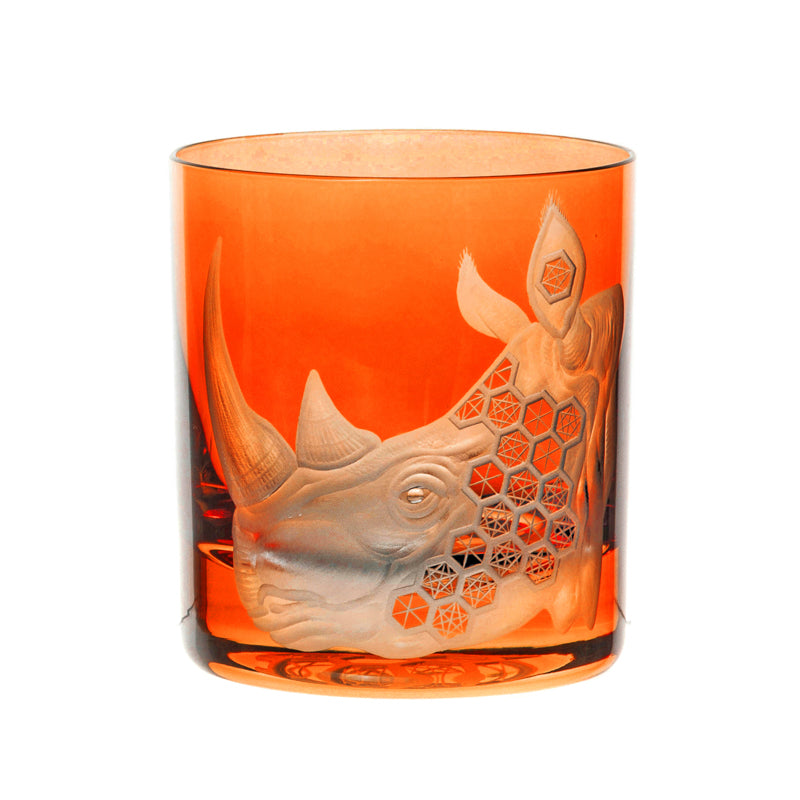 African Safari Rhinoceros