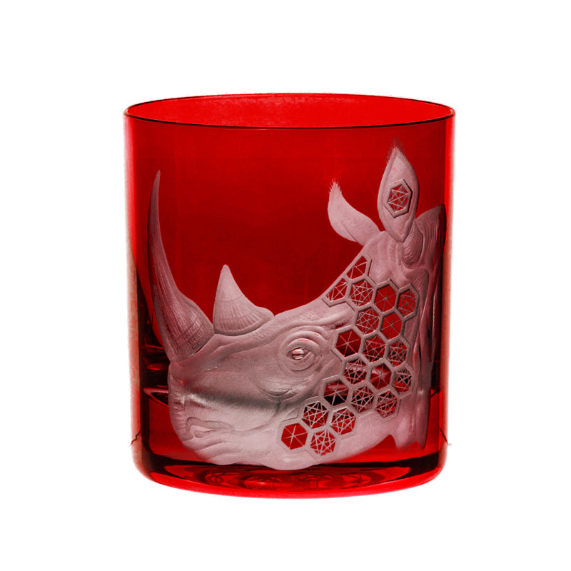 African Safari Rhinoceros