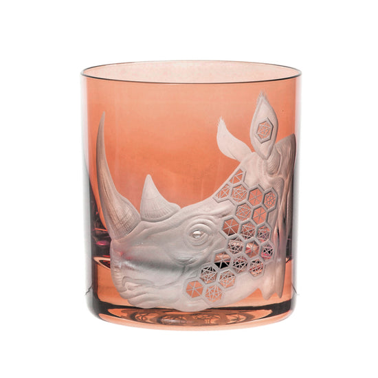 African Safari Rhinoceros