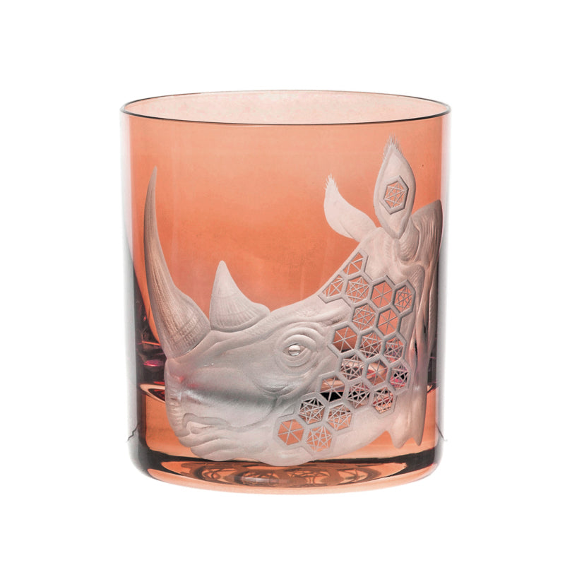 African Safari Rhinoceros