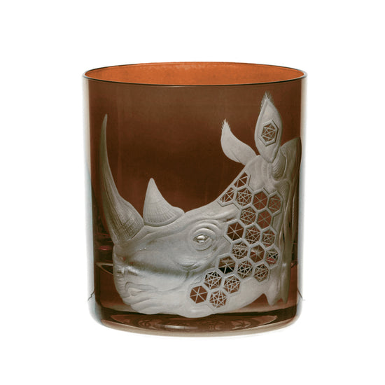 African Safari Rhinoceros