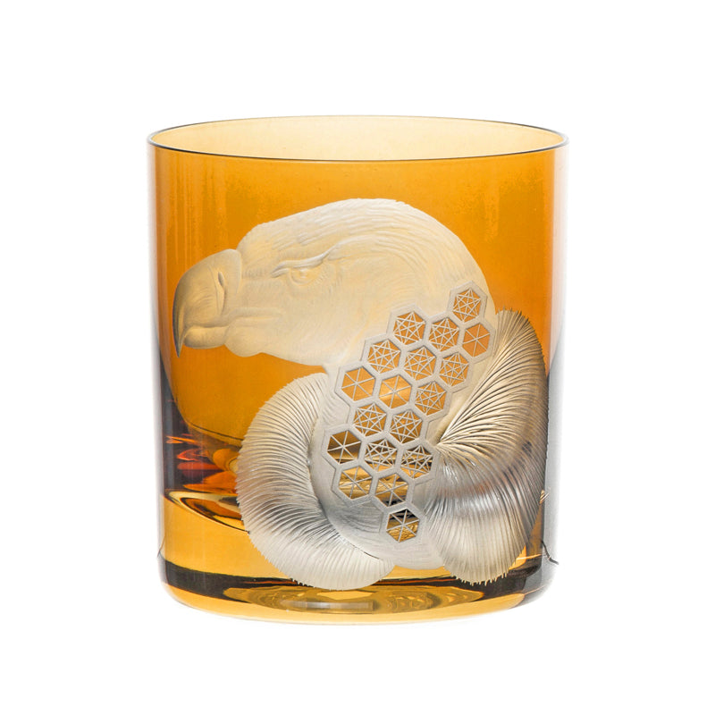 African Safari Vulture