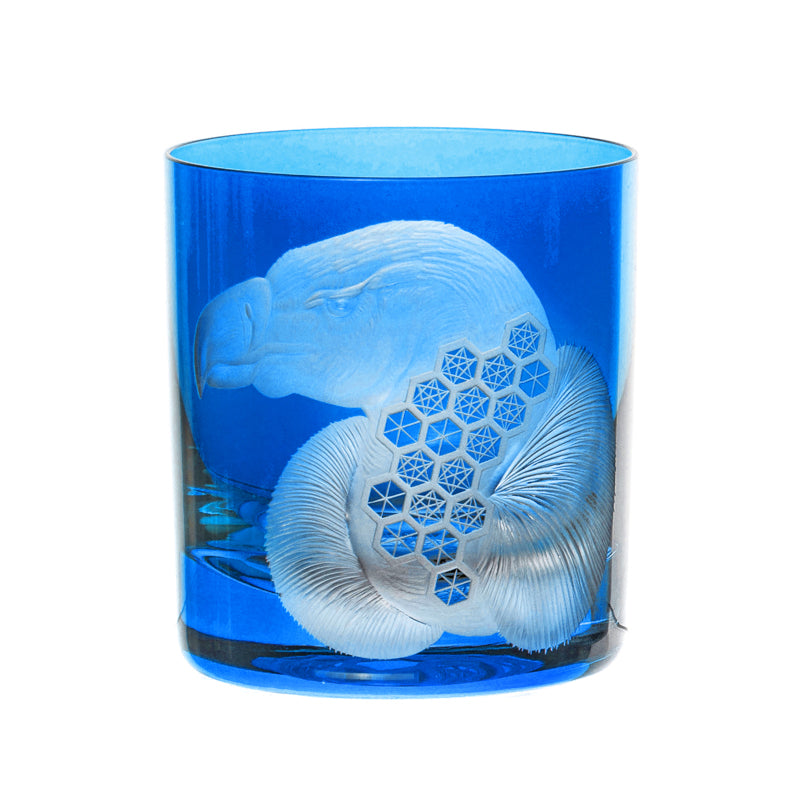 African Safari Vulture