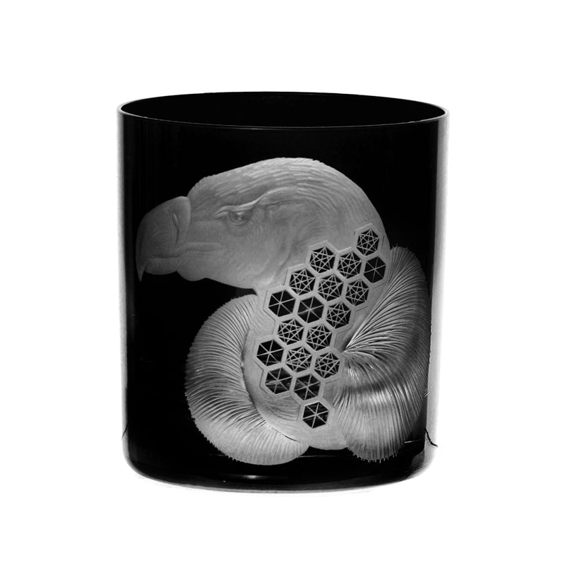 African Safari Vulture