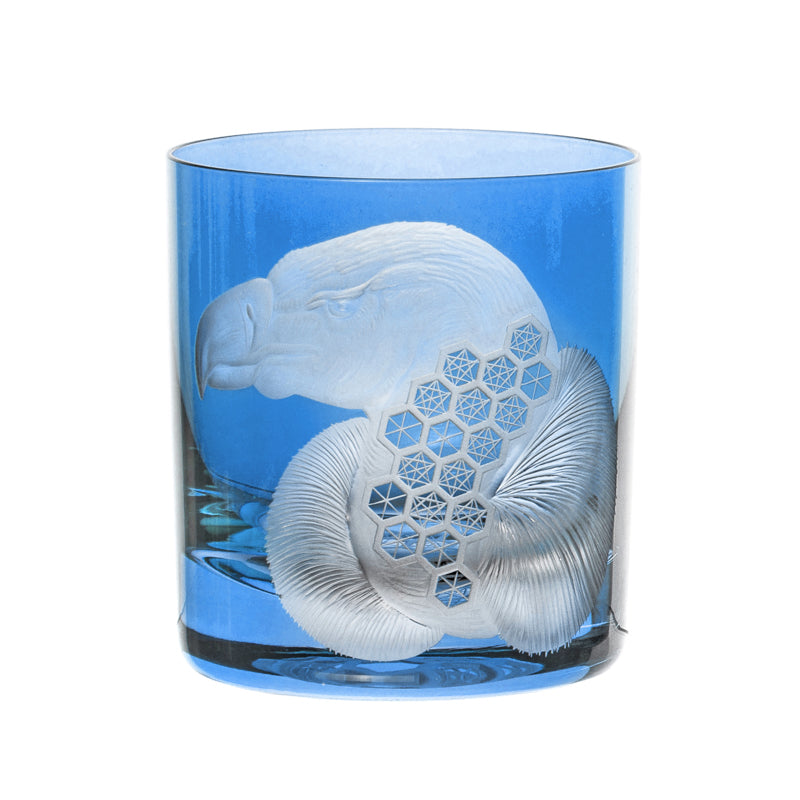 African Safari Vulture