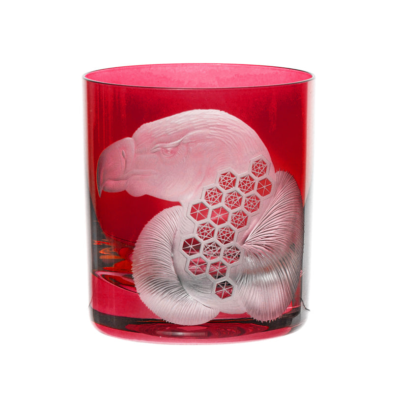 African Safari Vulture