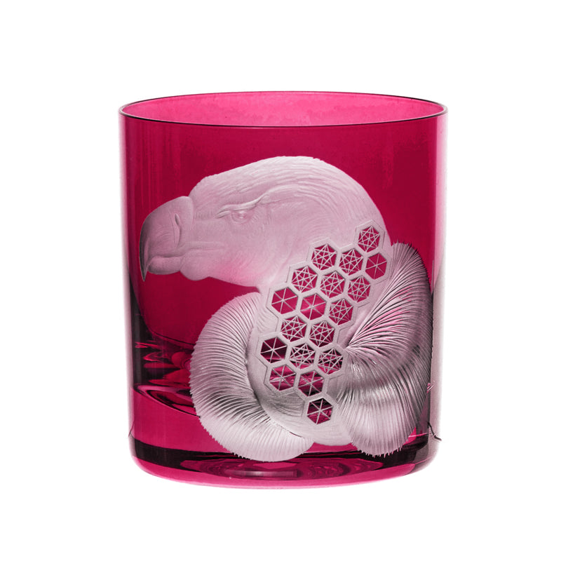 African Safari Vulture