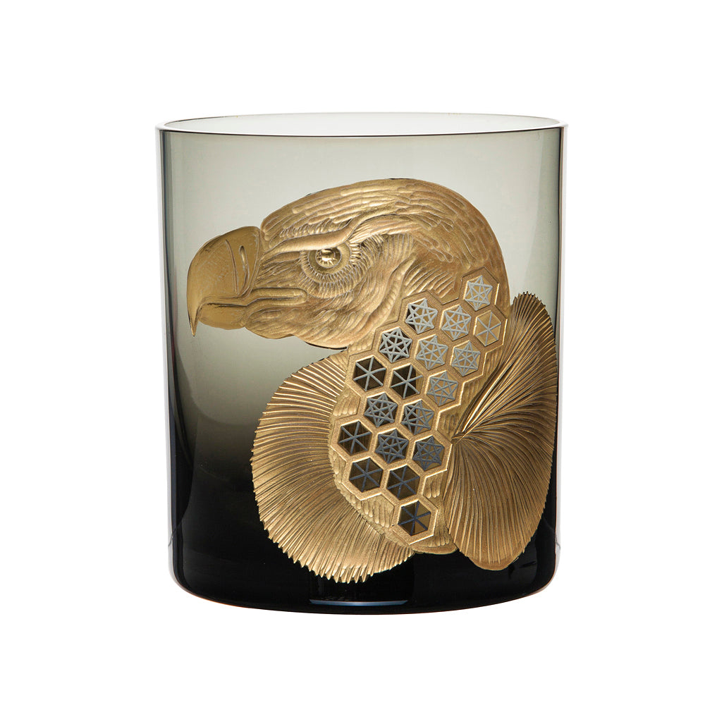 African Safari Vulture