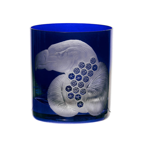 African Safari Vulture