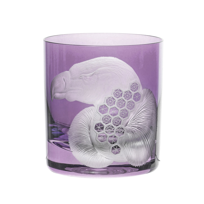 African Safari Vulture