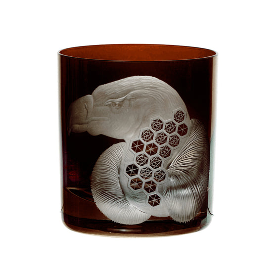 African Safari Vulture