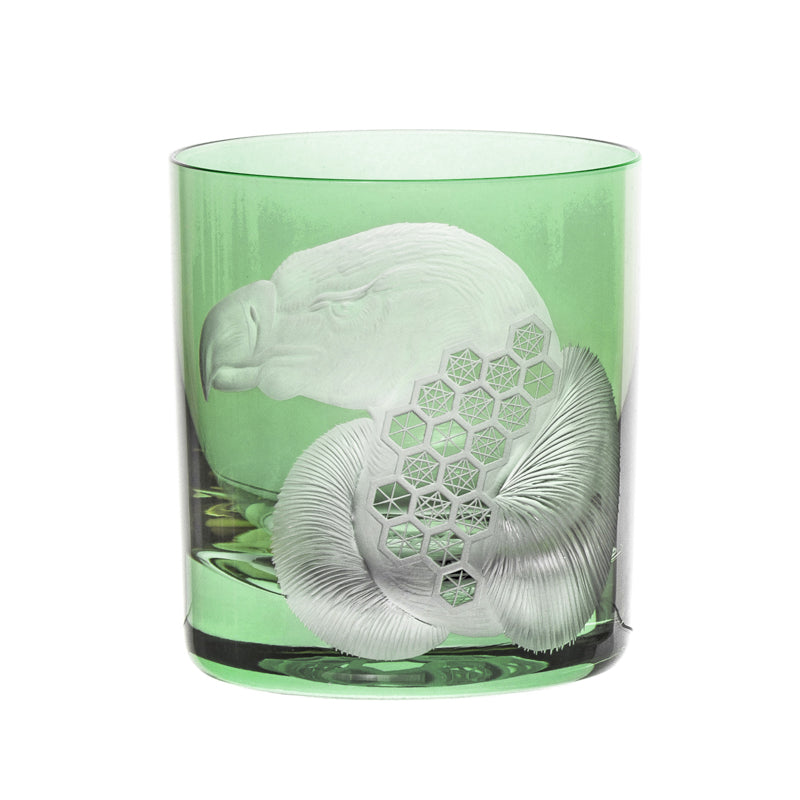 African Safari Vulture