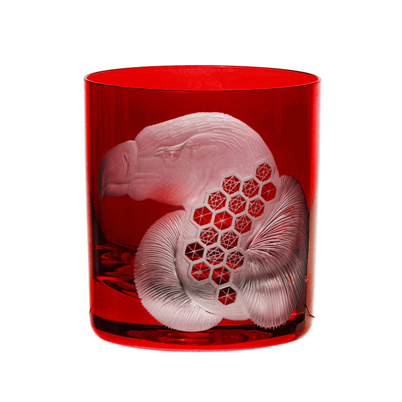 African Safari Vulture