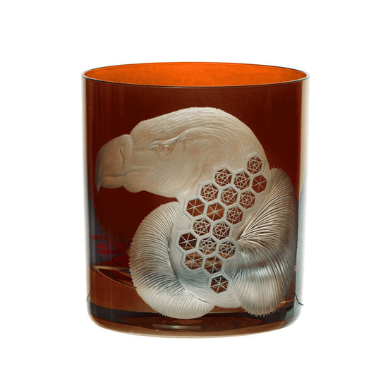 African Safari Vulture