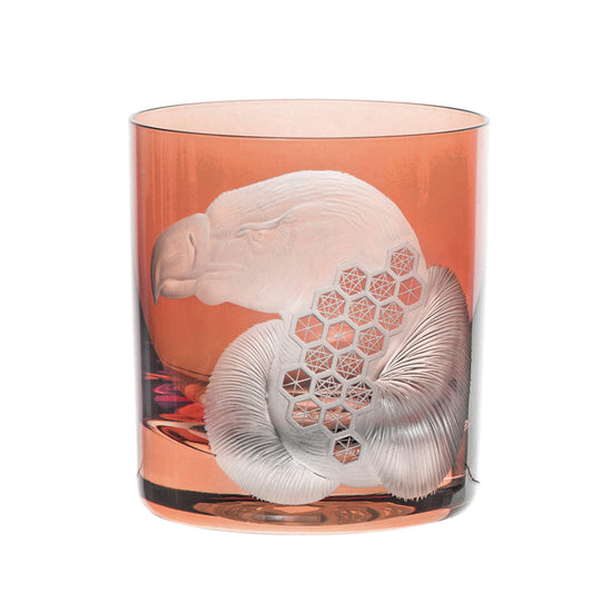 African Safari Vulture