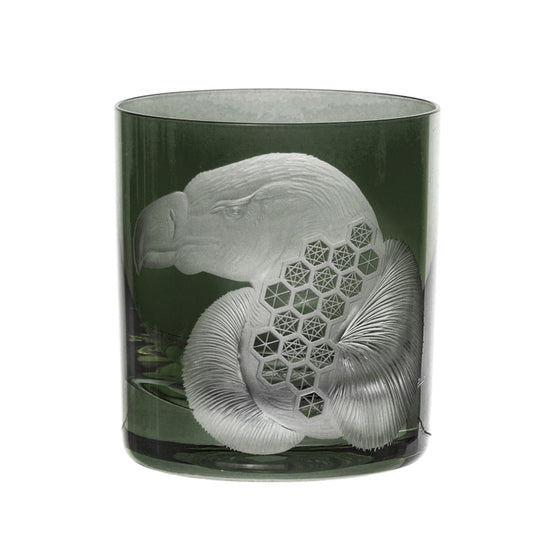 African Safari Vulture