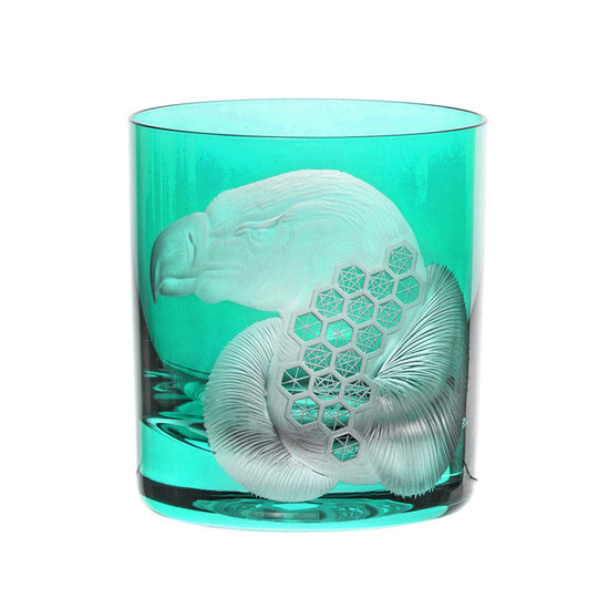 African Safari Vulture