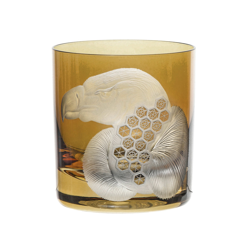 African Safari Vulture