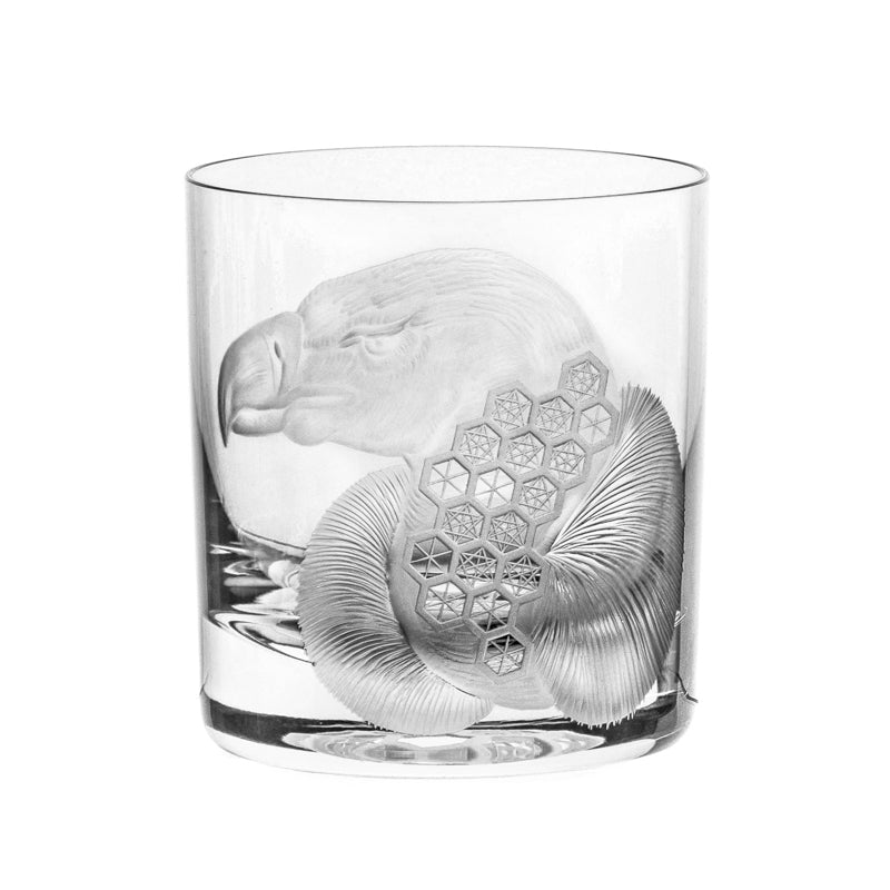 African Safari Vulture