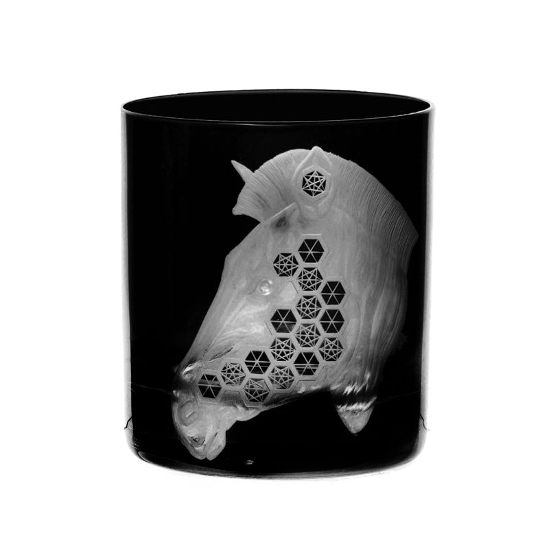 African Safari Zebra