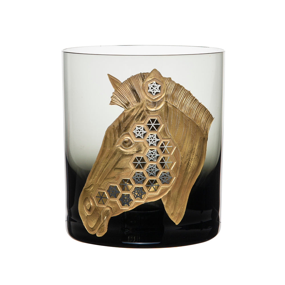 African Safari Zebra