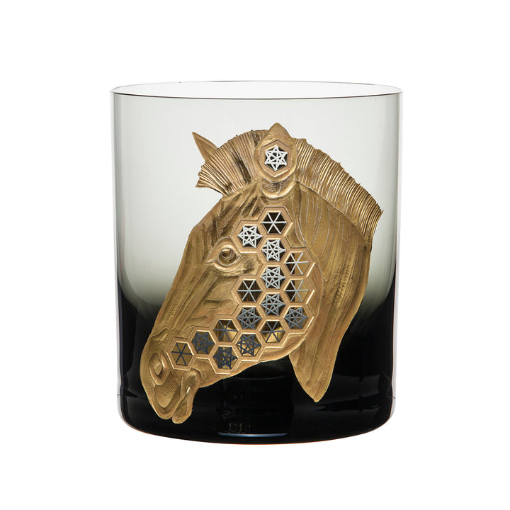 African Safari Zebra