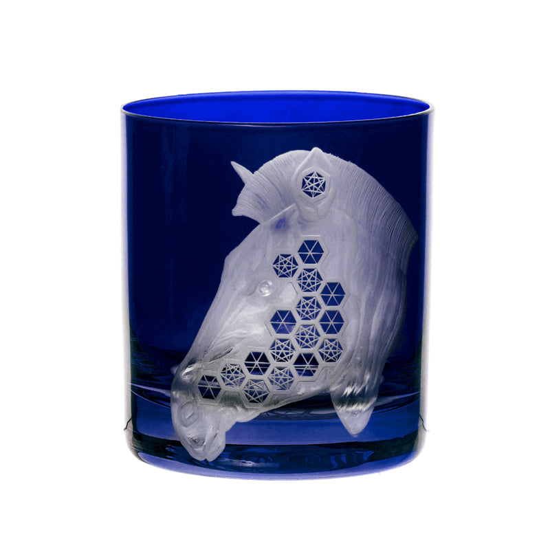 African Safari Zebra