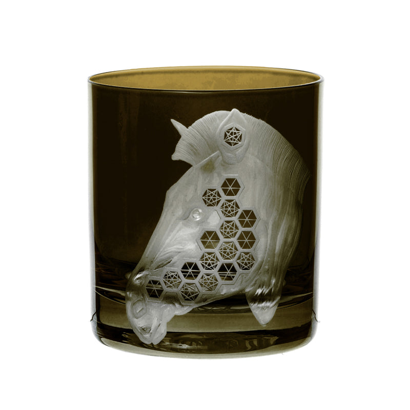 African Safari Zebra