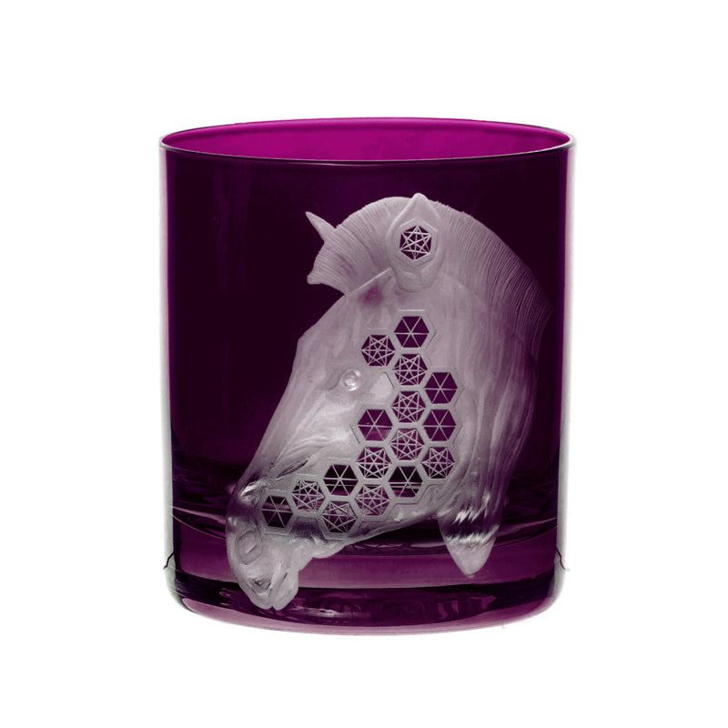 African Safari Zebra