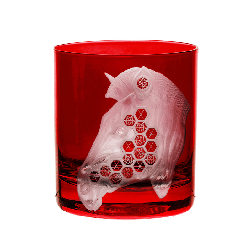 African Safari Zebra