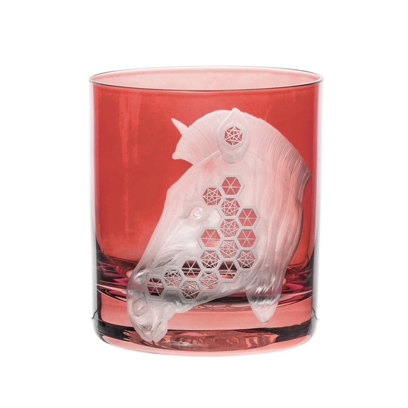 African Safari Zebra