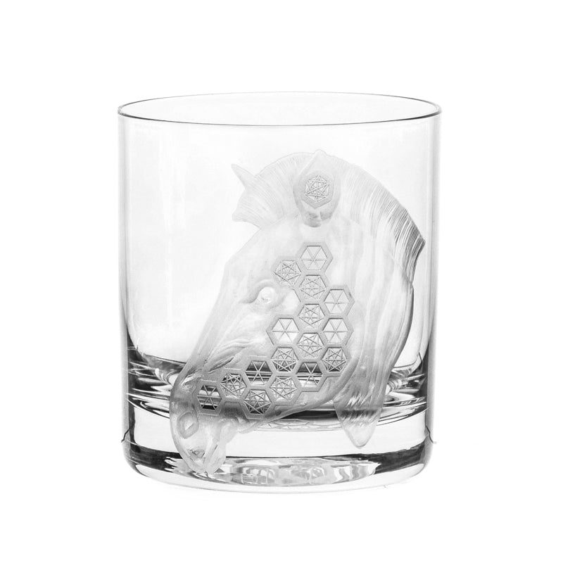 African Safari Zebra