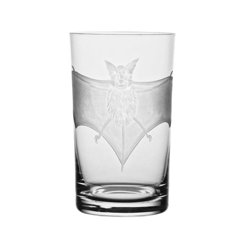 Cabinet of Curiosities Bat